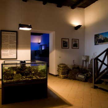 Museo Vivo del Mare